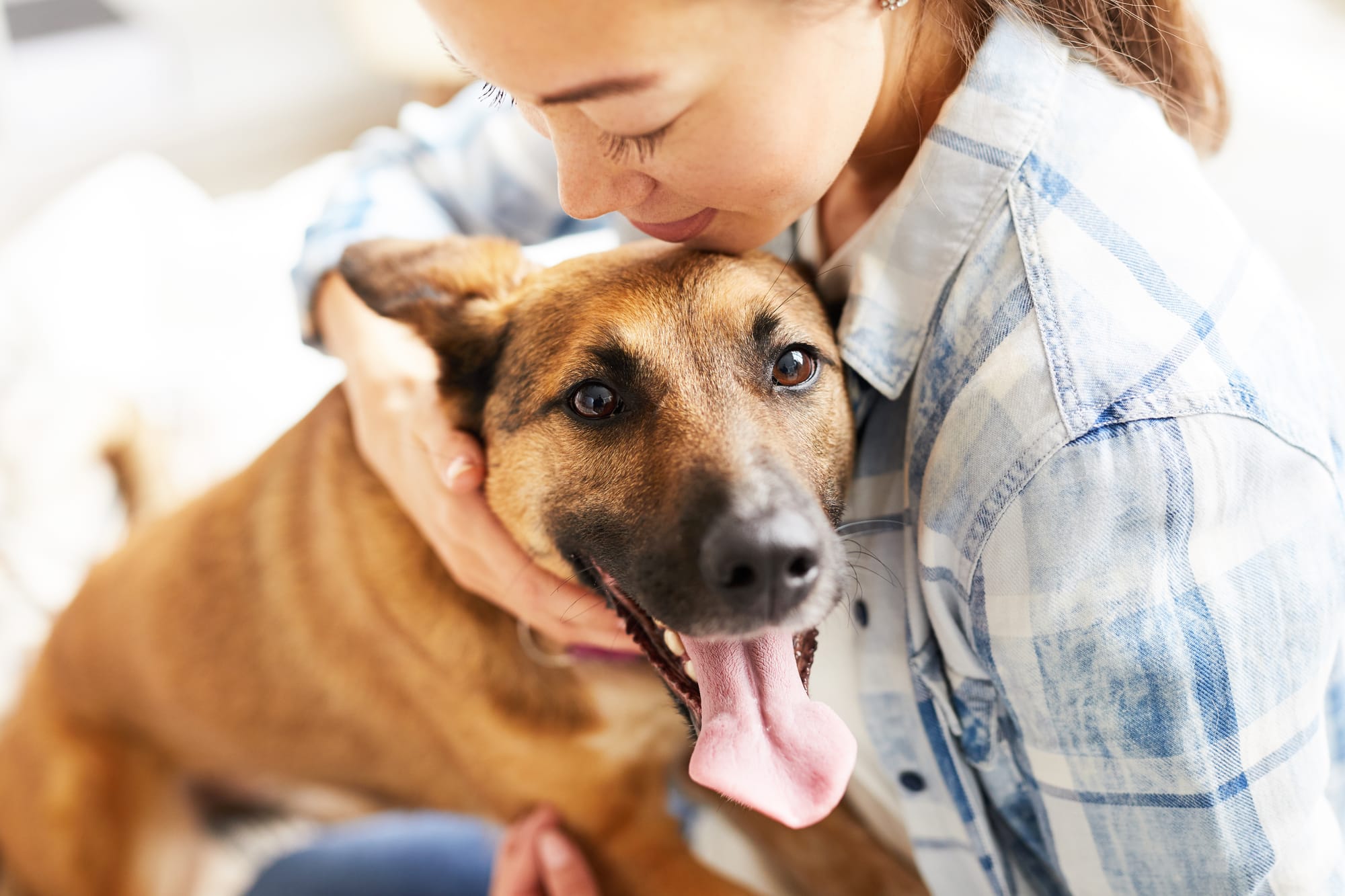 Πόσο Κοστίζει Pet Sitter στην Πάτρα; Τιμές και Φύλαξη Κατοικίδιων