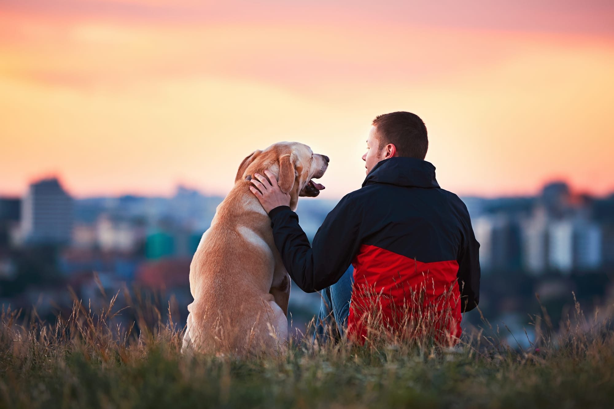 Μπορώ να γίνω Pet Sitter αν είμαι φοιτητής;