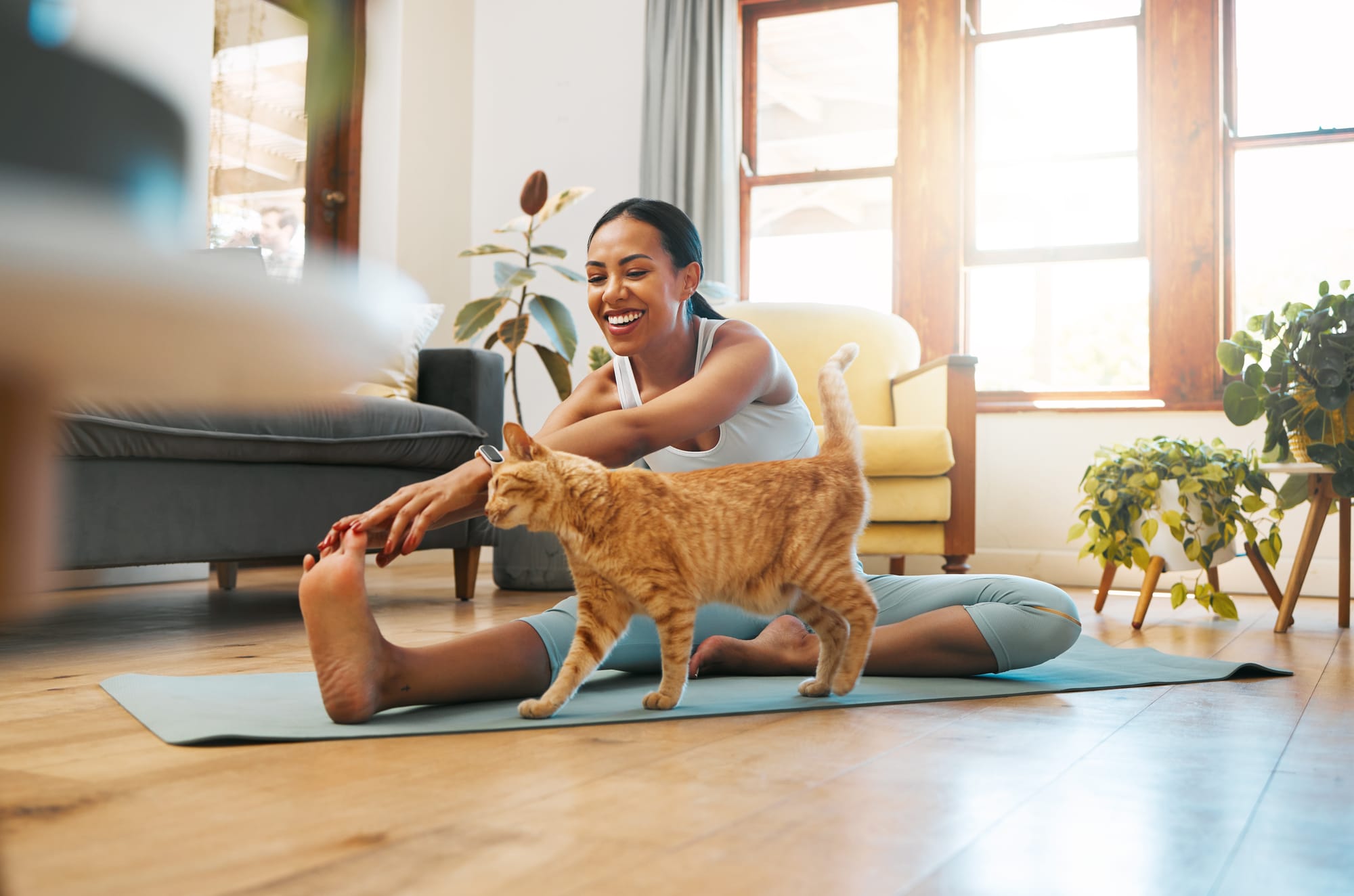 Pet Sitter για φοιτητές, εργαζόμενους και συνταξιούχους