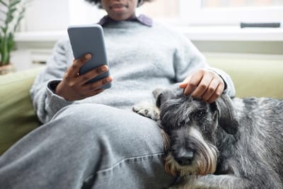 Pet Sitter Αθήνα για Εργαζόμενους: Φροντίδα Κατοικίδιου Όσο Είσαι στη Δουλειά