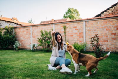 Pet Sitter Μαρούσι: Βρες Φροντίδα για Σκύλο ή Γάτα