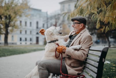 Pet Sitter Θεσσαλονίκη: Πώς να Βρεις Αξιόπιστη Φύλαξη Κατοικίδιων