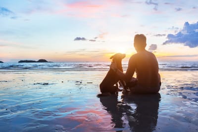 Pet Sitter Θεσσαλονίκη για Σαββατοκύριακο: Πώς να Βρεις Φροντίδα για το Κατοικίδιό σου