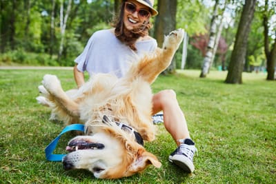 Pet Sitter Καλαμαριά: Βρες Φροντίδα για Σκύλο ή Γάτα