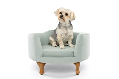 Pet Sitter Ευκαρπία: Βρες Φροντίδα για Σκύλο ή Γάτα