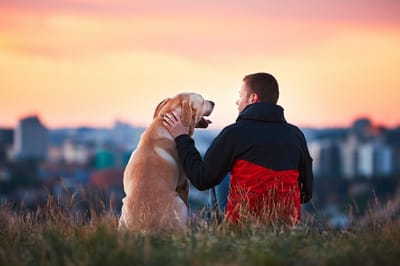 Μπορώ να γίνω Pet Sitter αν είμαι φοιτητής;