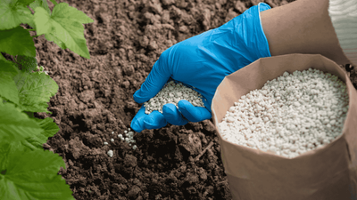 Indian Fertilizer Market Forecast 2025-2033 | Size, Share and Research Report