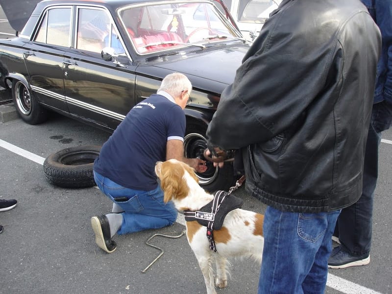 Sortie du 15 octobre 2023