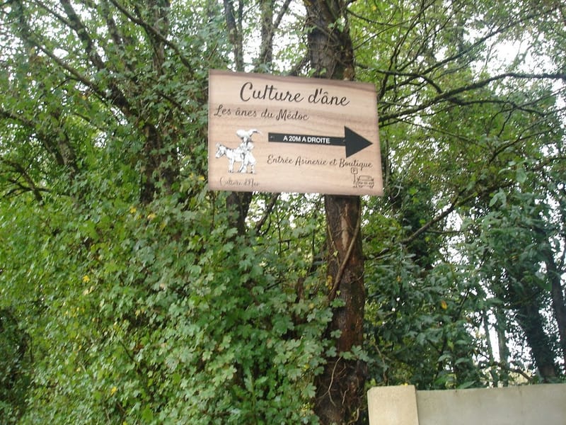 Sortie du 27 octobre 2024