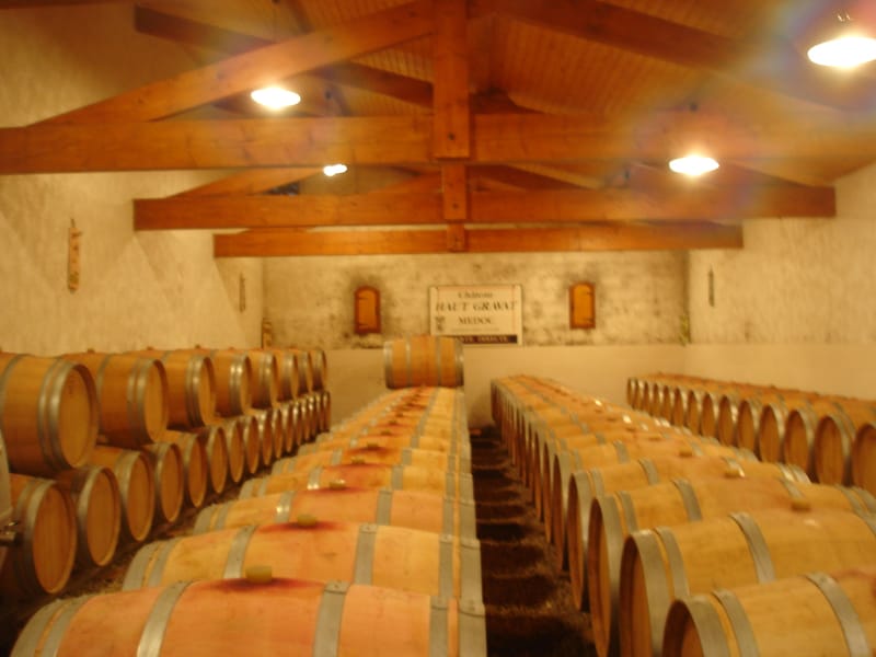 Sortie du 25 janvier 2025