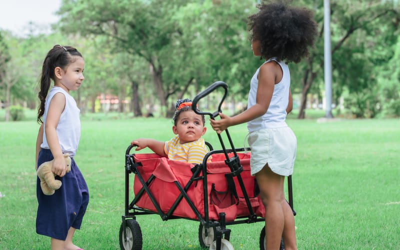 Toddler Wagon Rental