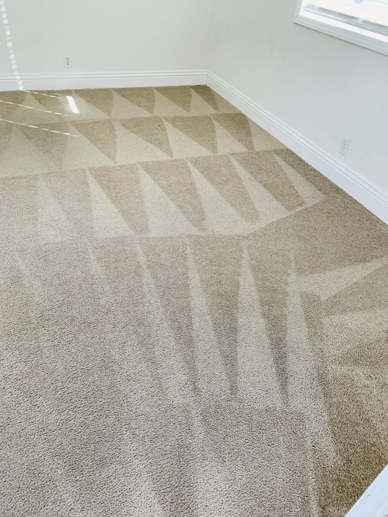 AREA RUG & CARPET CLEANING