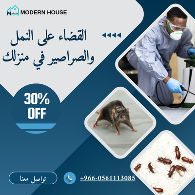 النمل والصراصير في الصيف: 5 خطوات تمنع غزوها لمنزلك 🐜🪳