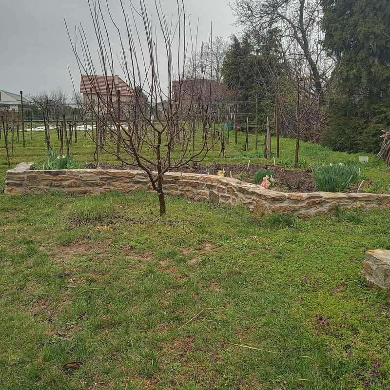 Rózsakert mellé, rakottkő támfal építése.