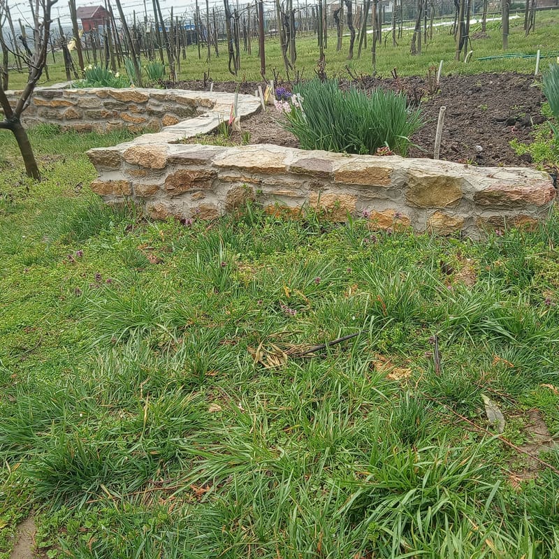 Rózsakert mellé, rakottkő támfal építése.