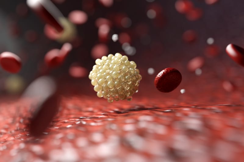 Bloodborne Pathogens