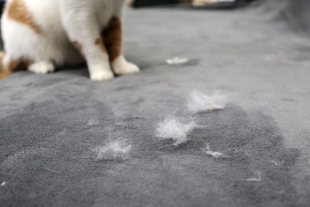 Common Pollutants in Furniture Upholstery