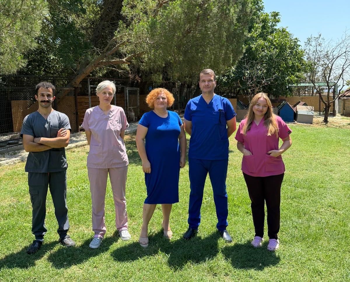 Felçli, yaşlı ve ağır hasta hayvanlar için ENCANDER