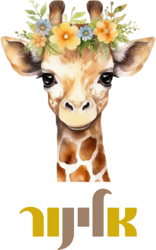 אלינור- מאירה לך את הדרך