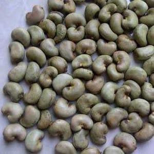 RAW CASHEW NUT