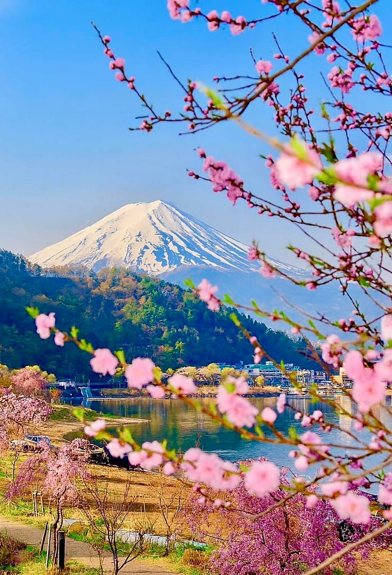 UPCOMING: THE SPIRIT OF JAPAN