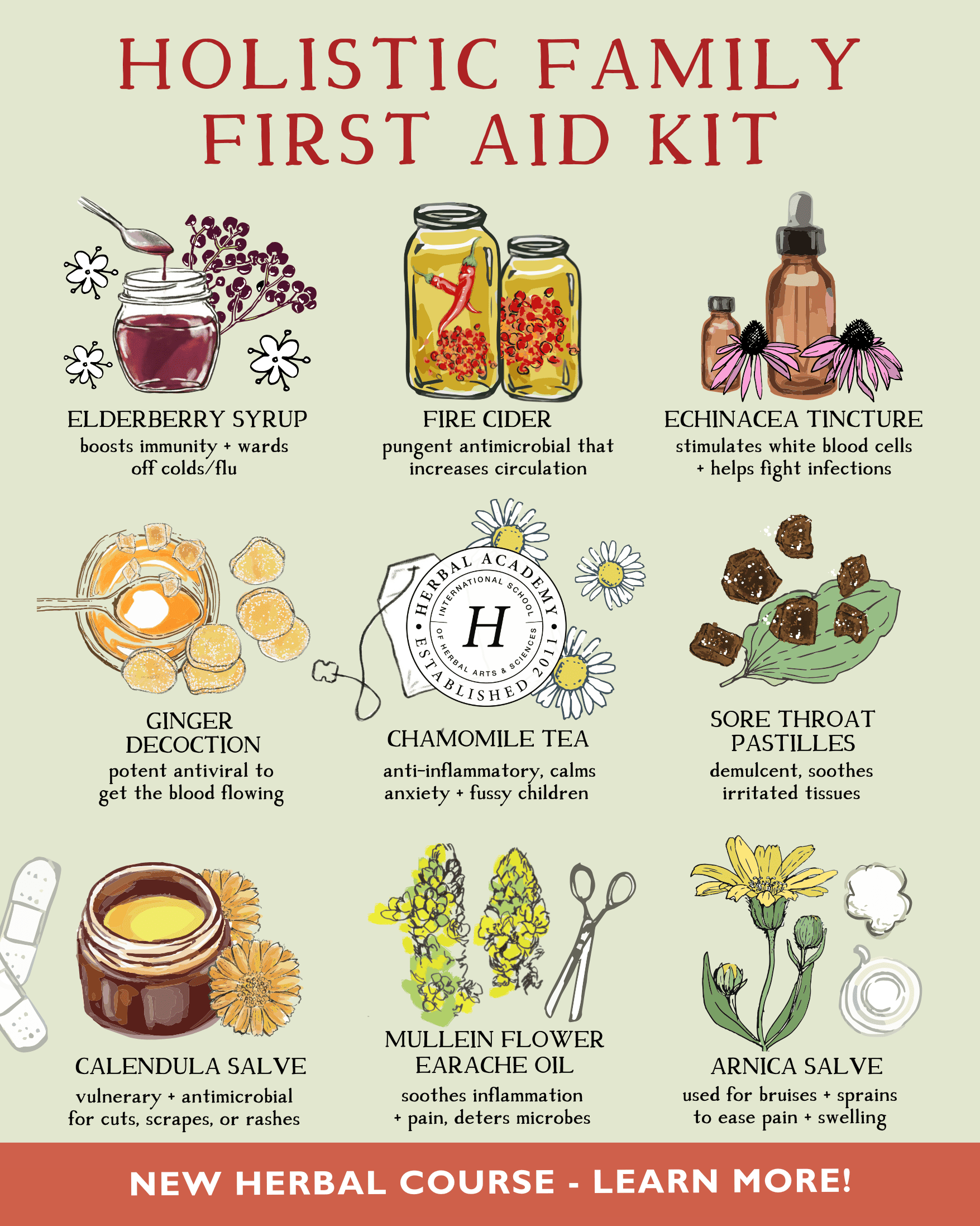 Holistic Herbal Care for Kids