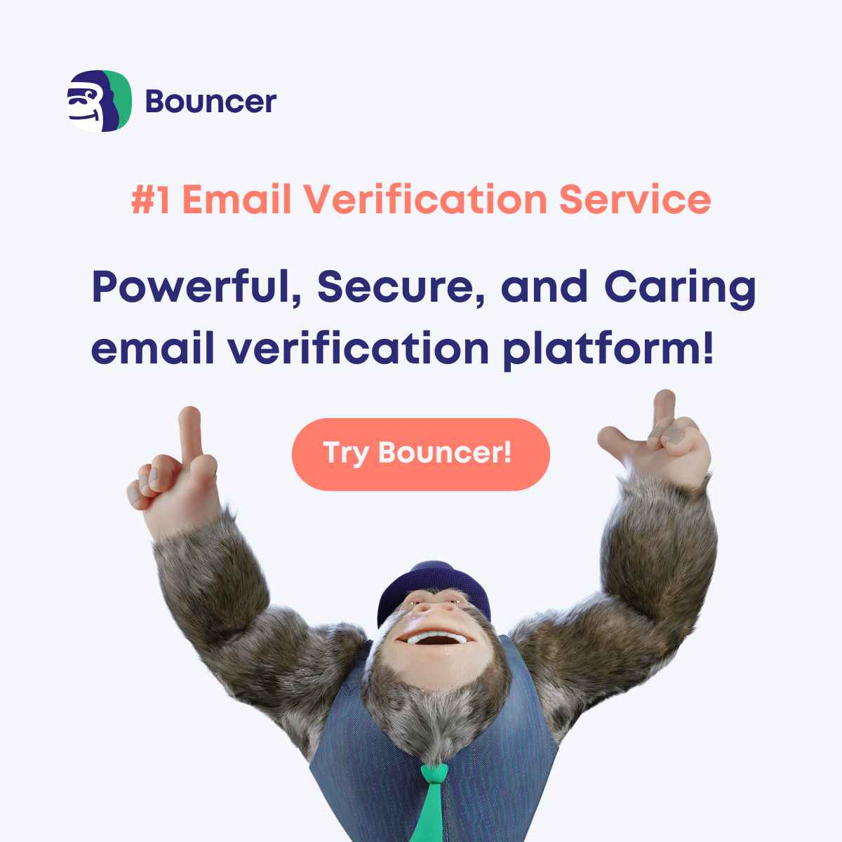 Secure Your Sender Reputation: Bouncer Email Verification Platform Unpacked