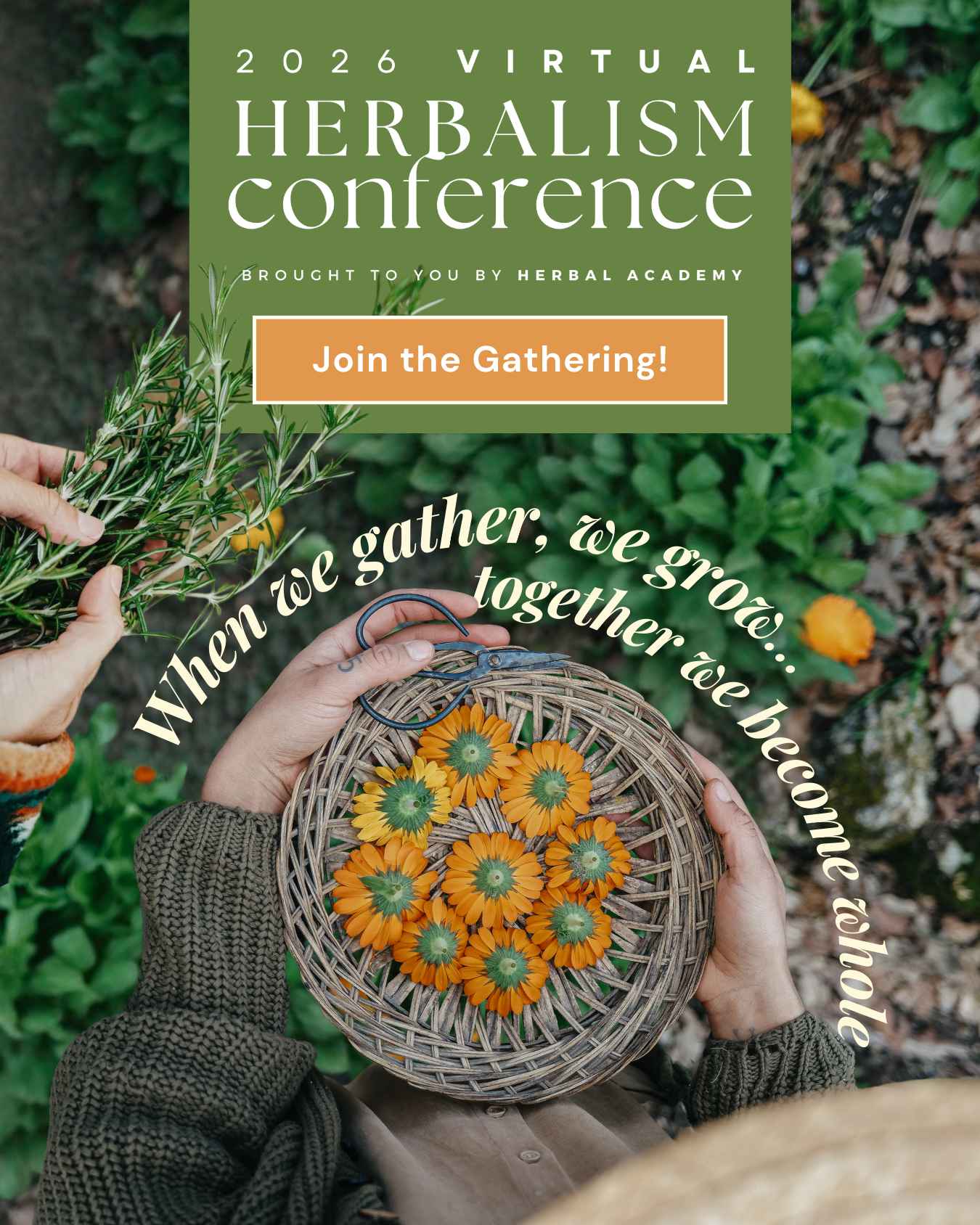 Why This Free Herbalism Conference 2026 Is a Game-Changer for Modern Herbalism