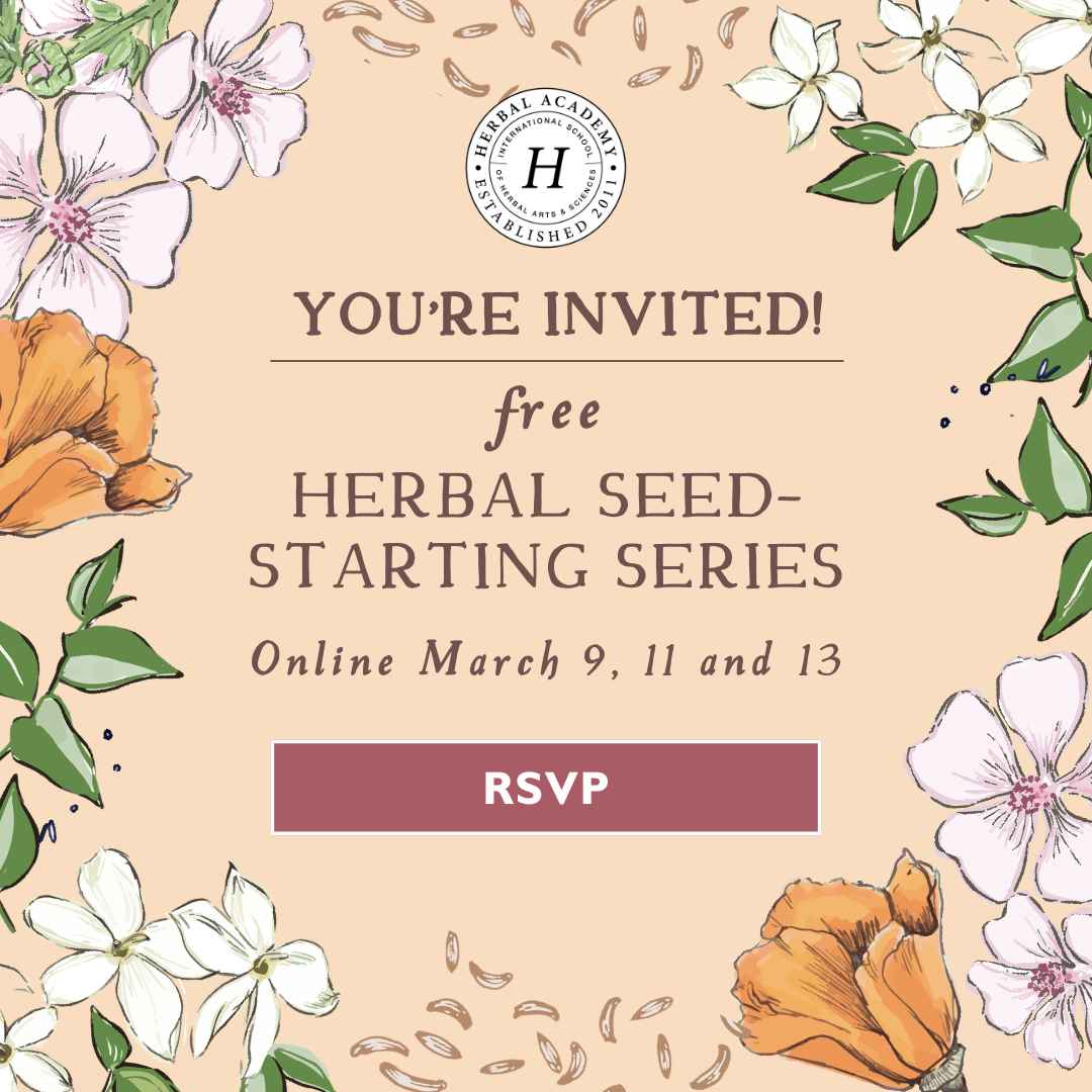 Herbal Seed Starting Webinar: How to Grow Medicinal Herbs Successfully from Seed