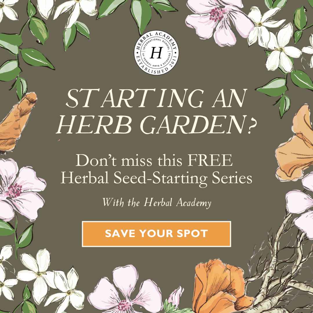 How to Start an Herb Garden from Seed: A Beginner’s Guide to Growing Medicinal Herbs Indoors