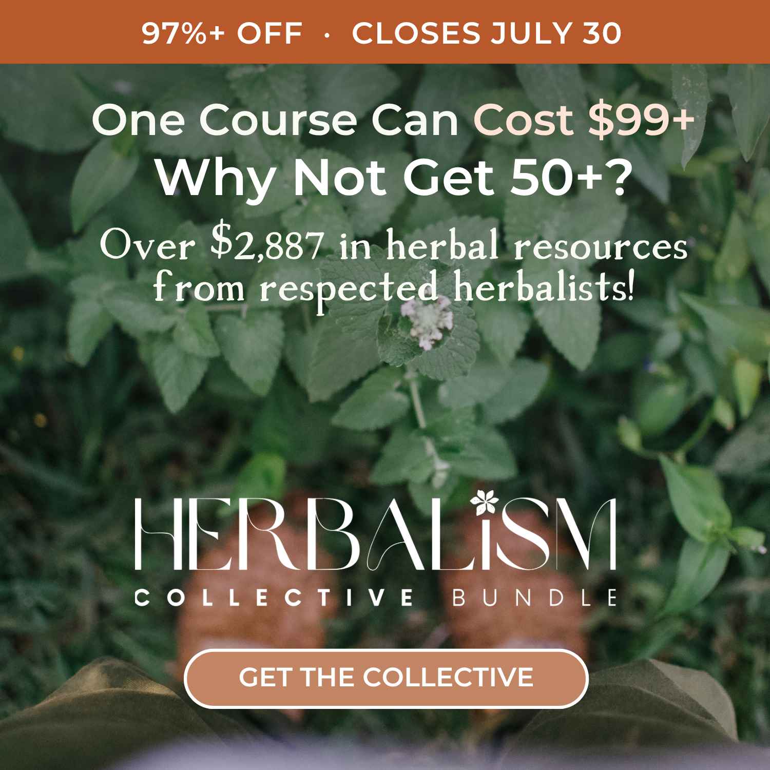 Herbalism Collective Bundle Price Increase: Last Chance to Save Before the $67 Offer Ends (2026)