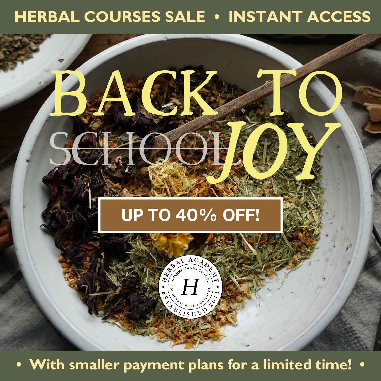 Beginner Herbalism Course: Find Your New Herbal Hobby & Save Up to 40%