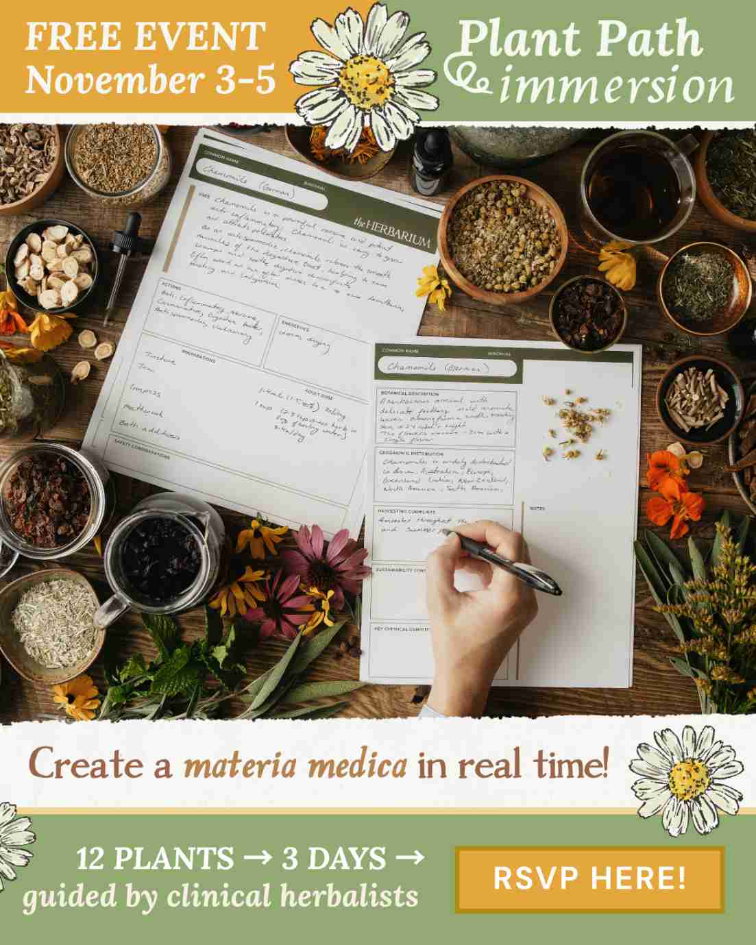 Plant Path Immersion 2026: Free Herbalism Event