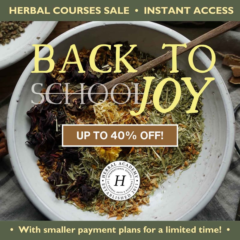Beginner Herbalism Course: Find Your New Herbal Hobby & Save Up to 40%
