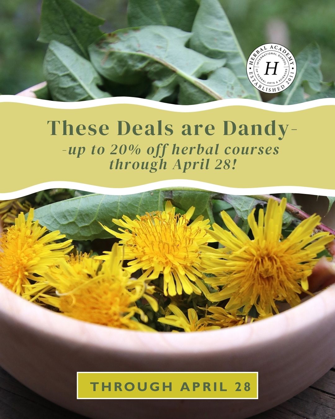20% off Herbal Academy courses ends Monday