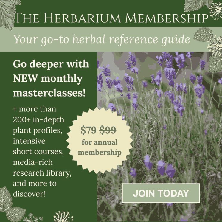 Ready to take your herbal journey to the next level?