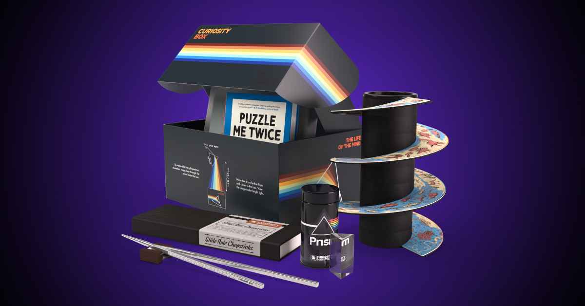 Puzzle Me Twice: The Ultimate Logic Puzzle Book for Curious Minds
