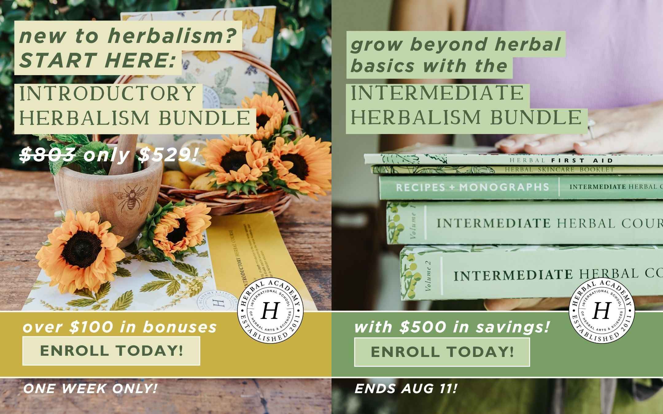 Start your herbal journey today with trusted courses that guide you step-by-step — no guesswork, just clarity and confidence.