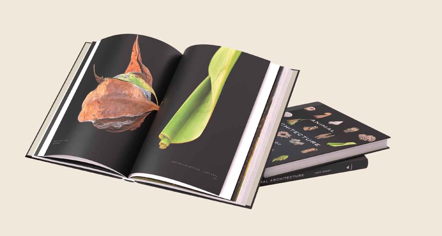 Animal Architecture Book
