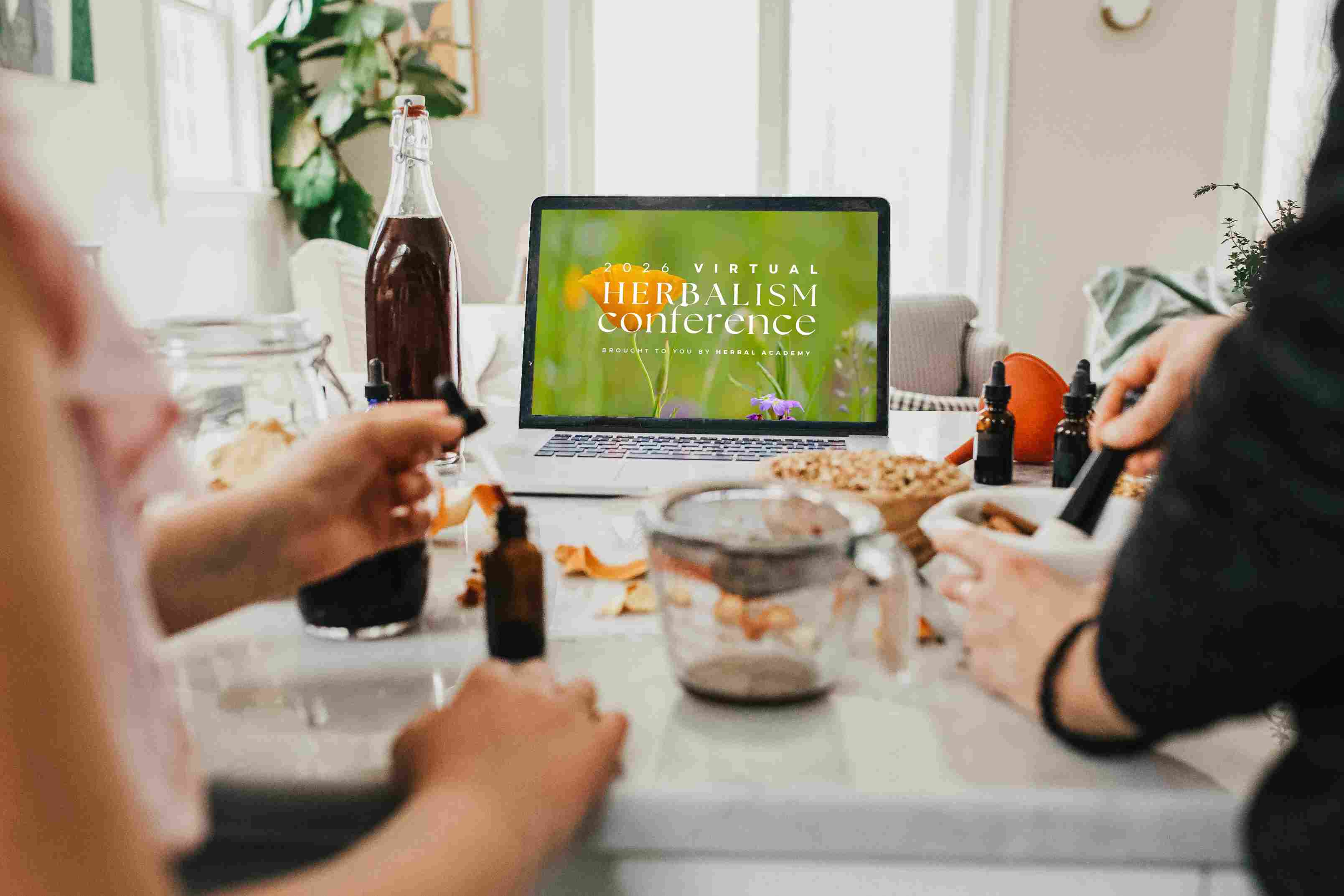 Unlock VIP Lifetime Access Before It Closes