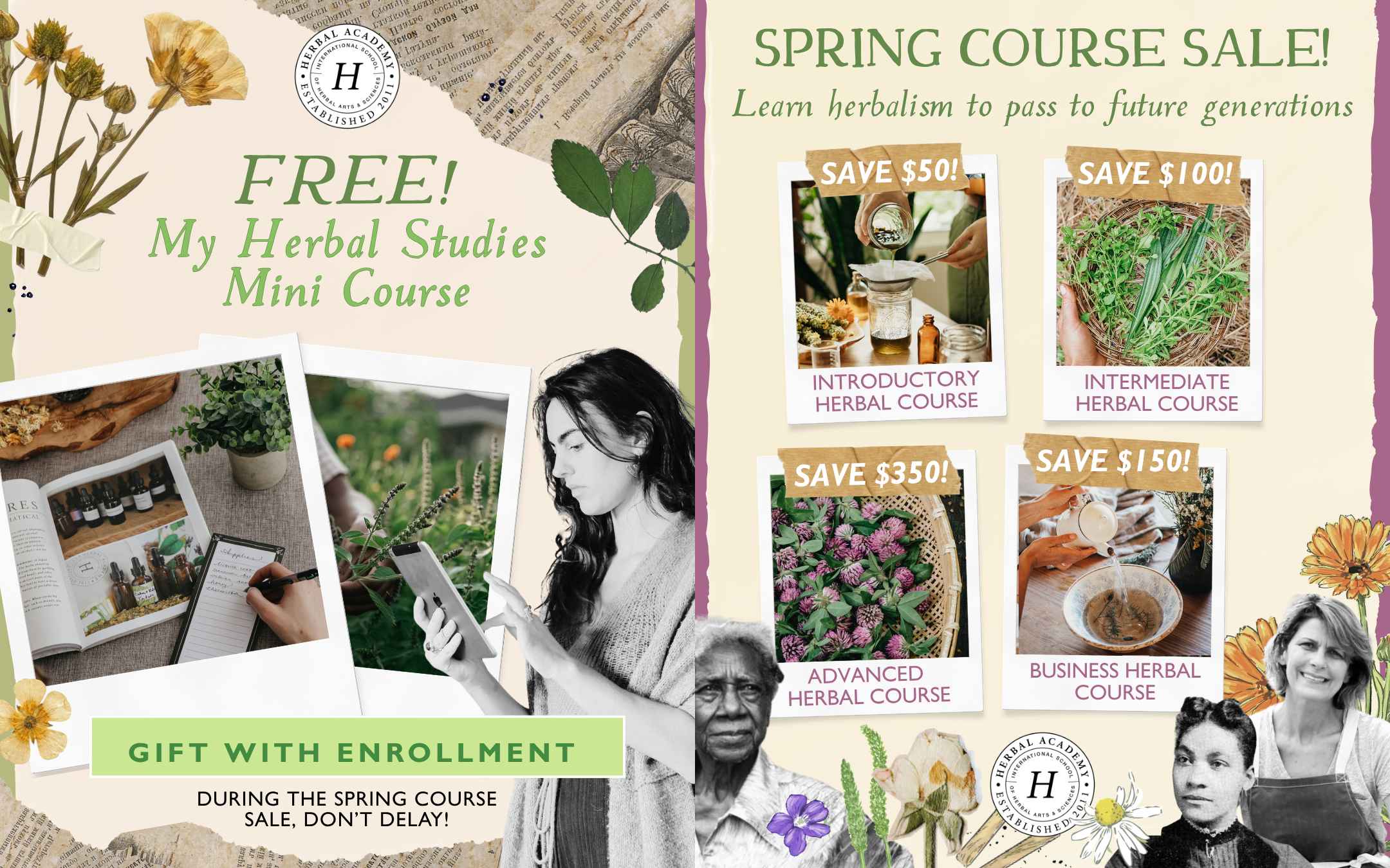 Unlock premium herbal recipes + step-by-step training today through Herbal Academy’s Spring Sale—starting at entry-level pricing.