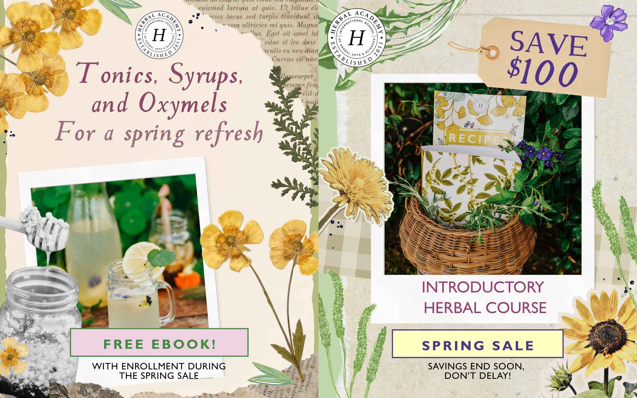 unlock a free herbal wisdom ebook packed with real-life stories, remedies, and practical insight