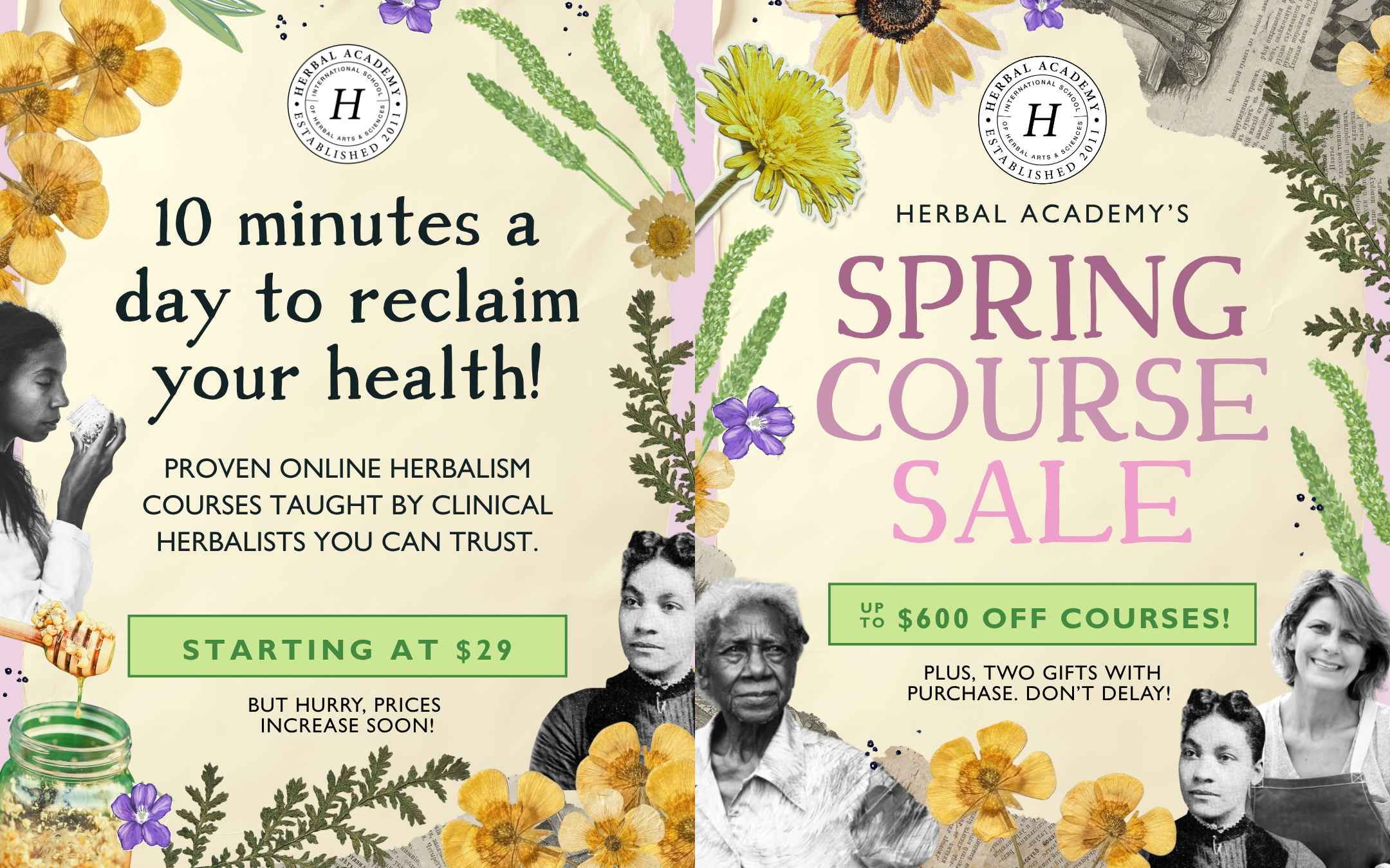 Download the free Herbal Wisdom Ebook and see how simple, practical, and powerful this knowledge really is.