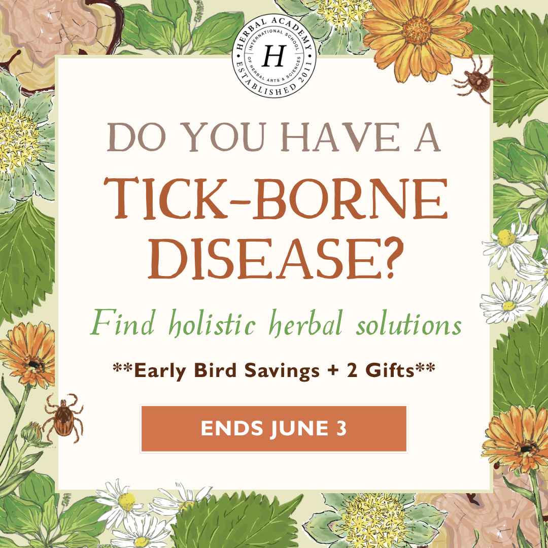 Holistic Support for Tick-Borne Diseases: What I Learned From Herbal Academy’s Tick Webinar
