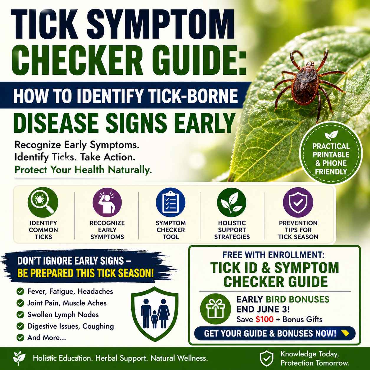 Holistic Support Strategies During Tick Season