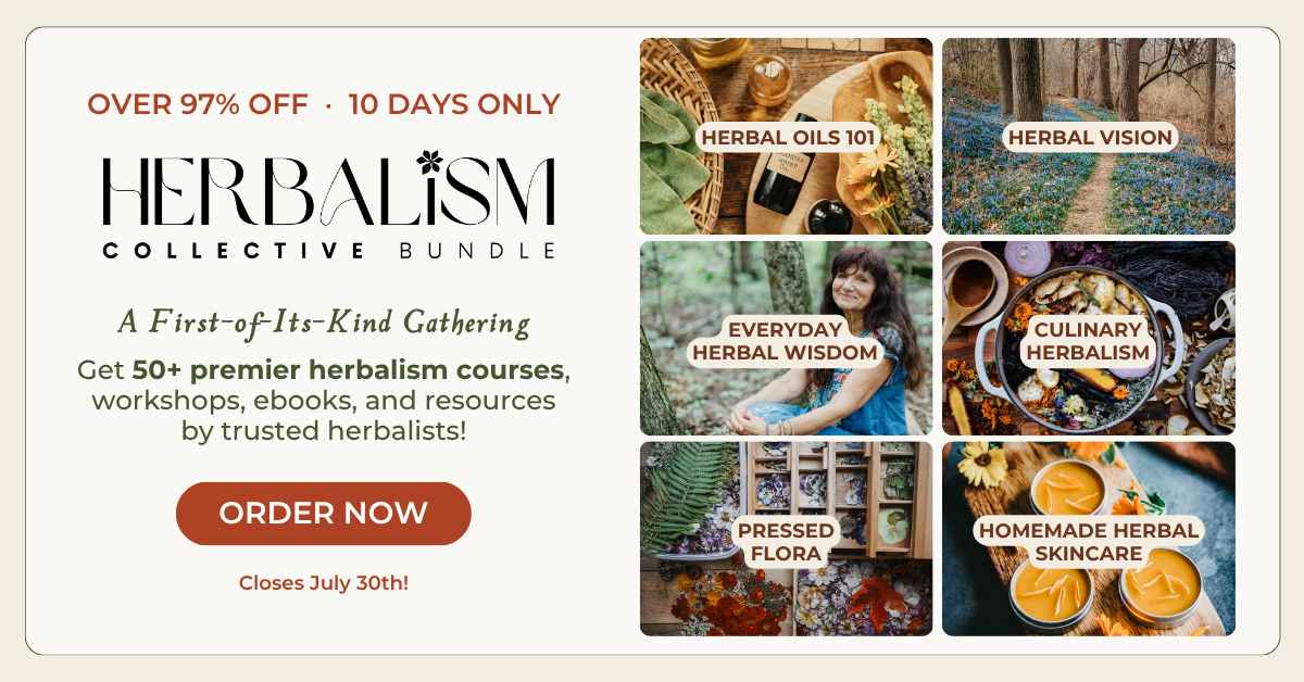 Best Herbalism Course Bundle (2026): 50+ Herbal Courses Worth $2,800+ for Just $67