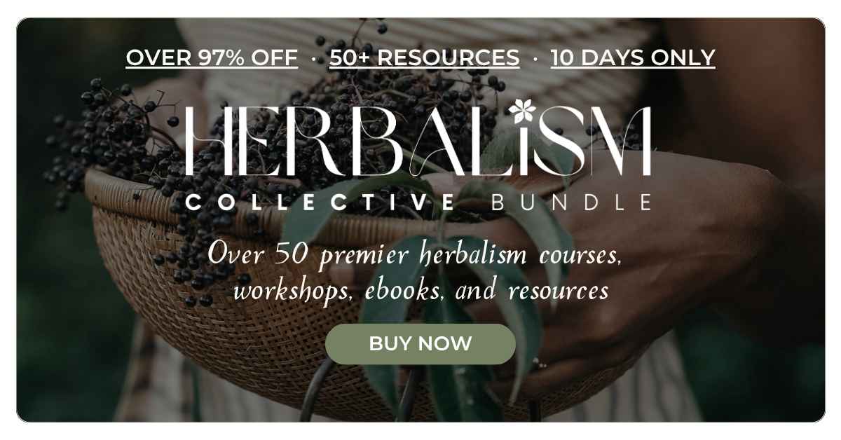 Best Herbalism Course Bundle (2026)
