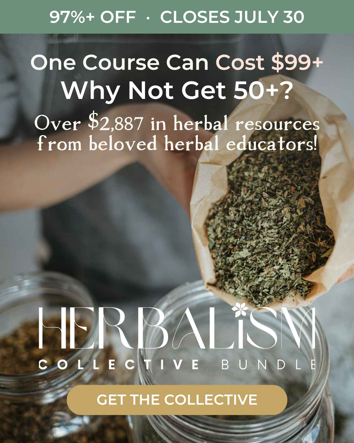 Herbalism Collective Bundle Review (2026): Is It the Best Online Herbalism Course Bundle for Learning Plant-Based Wellness?