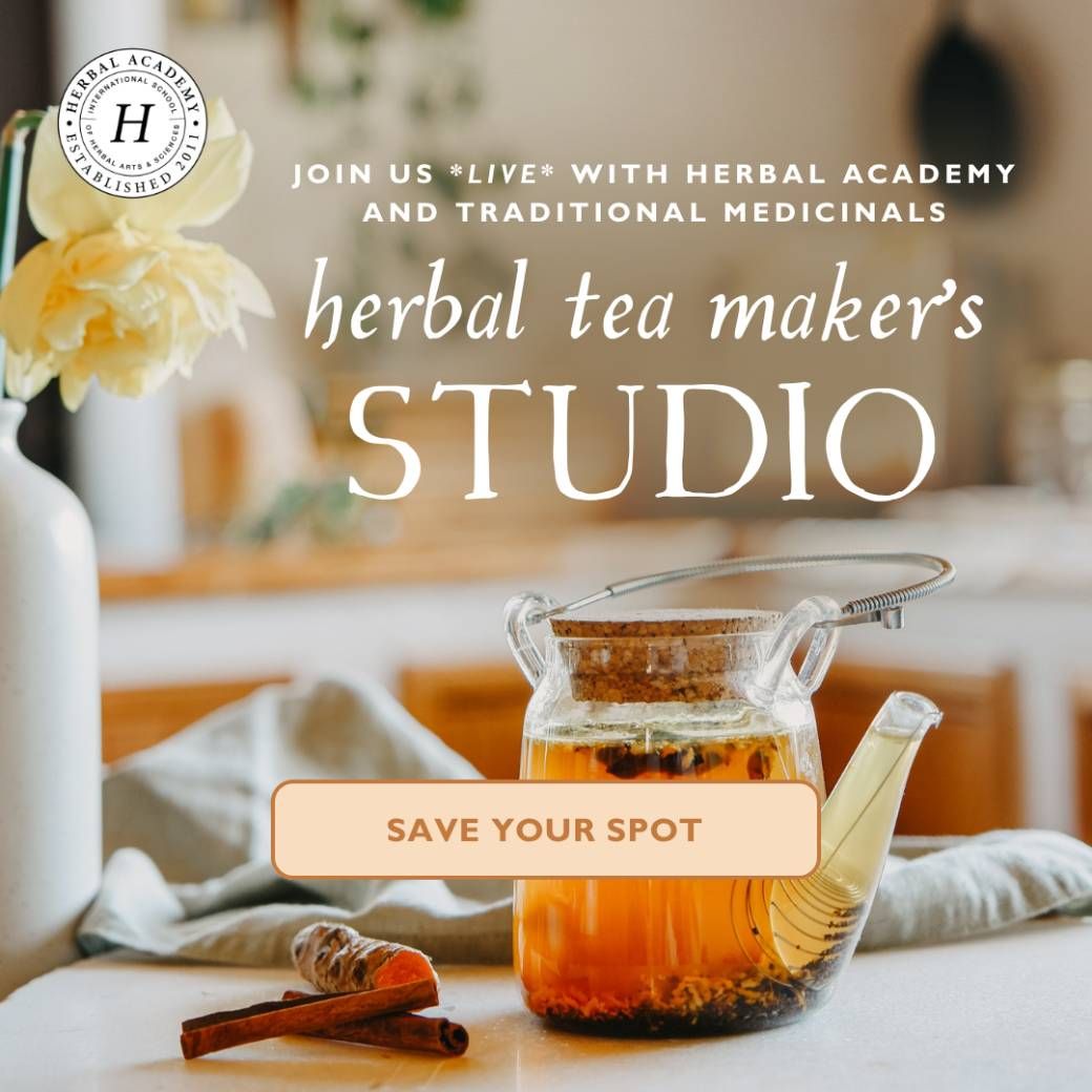 Herbal Tea Recipes for Beginners: How to Blend Herbal Teas, Summer Recipes & the Best Online Workshop (2026)