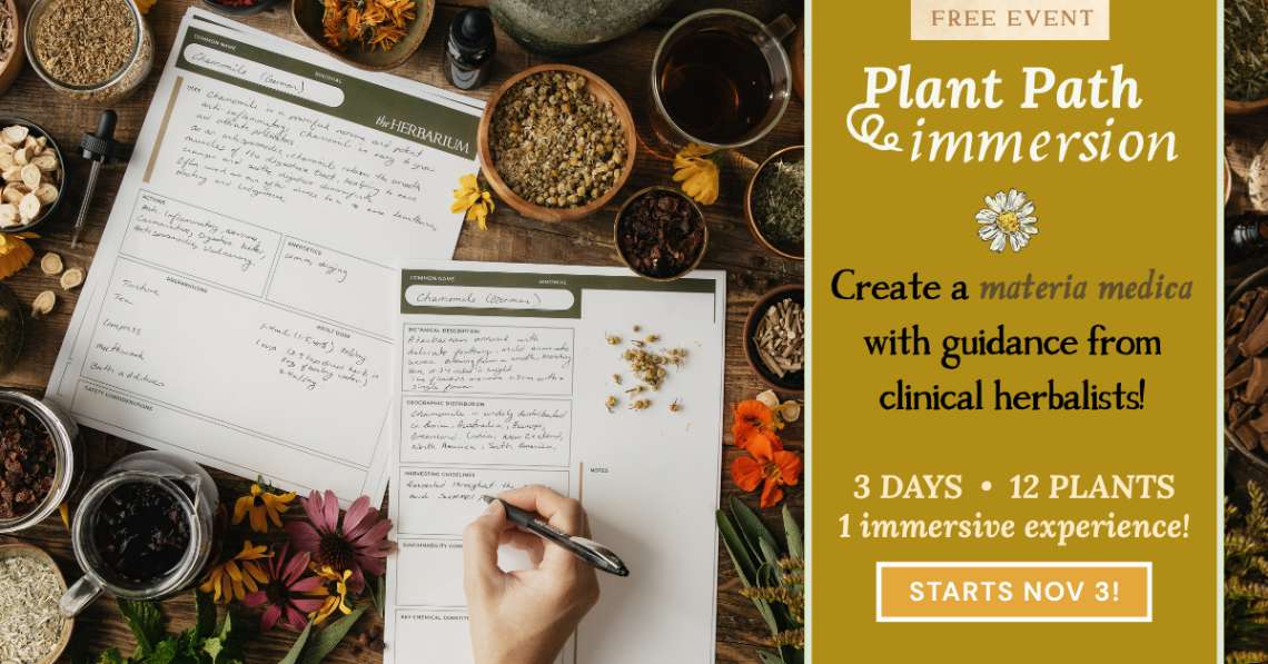 Plant Path Immersion 2026: Free Herbalism Event